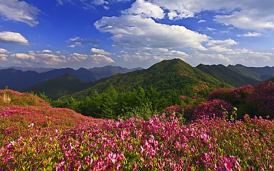 바래봉