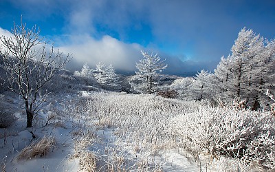 지리산 바래봉