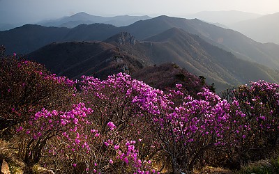 가지산