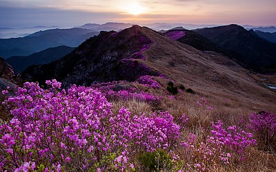 화왕산2