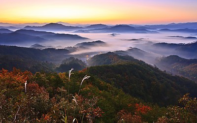 추경