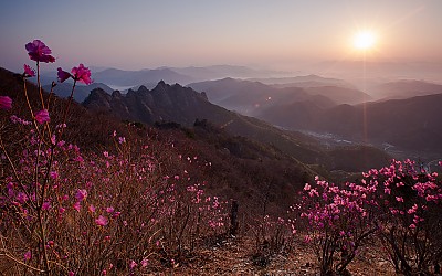 구봉산