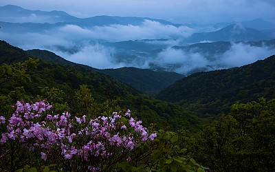팔공산