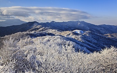 바래봉 눈꽃
