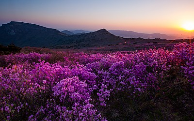 비슬산