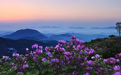 황매산