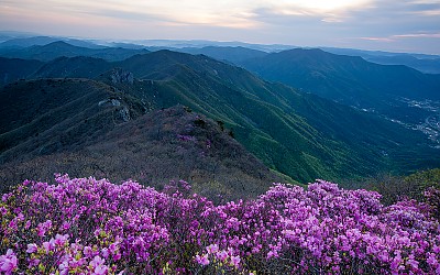 가지산