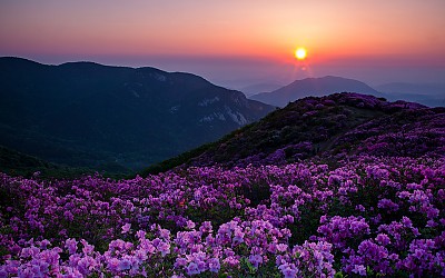 황매산