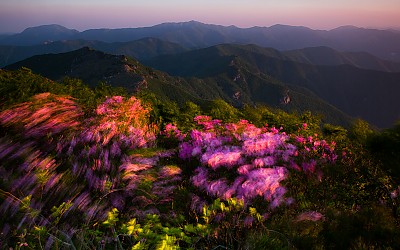 신불산