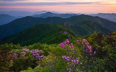  가지산 아침