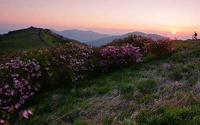 소백산의 아침