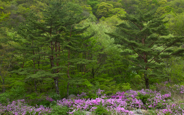 달궁에 살으리랏다~