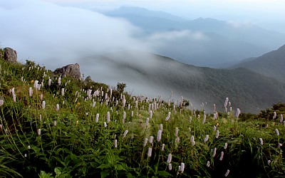 덕유산  화원