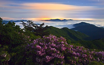 반야의 밤