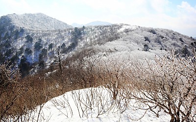 오대산