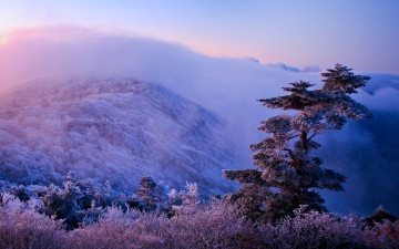 오늘 덕유 상선대