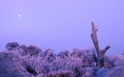 요세미티 국립공원