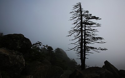 지리산 천왕봉 아래에서