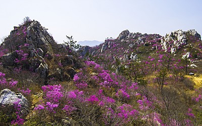 주작산 창고작