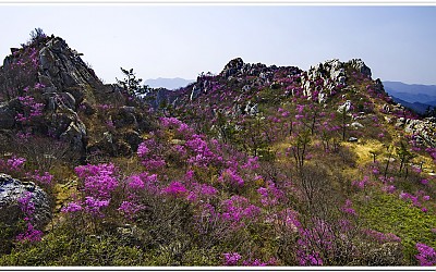 주작산