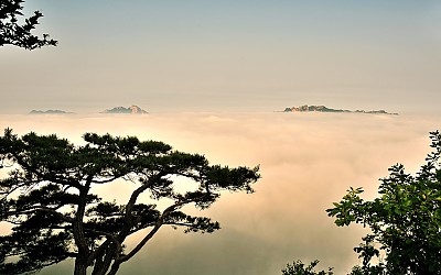 암흑의 도시
