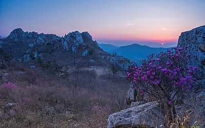 주작산