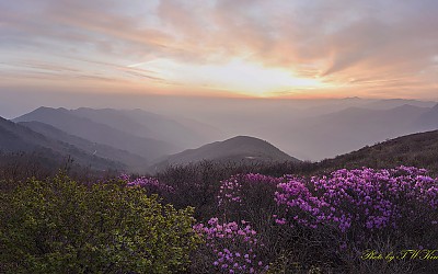 만복대