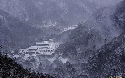 백양사