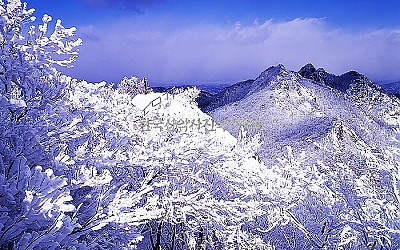 계룡산 설경