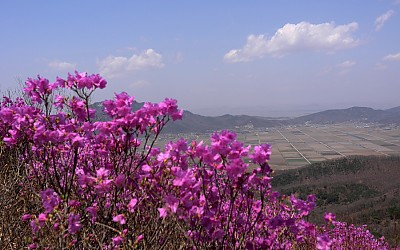 고려산..