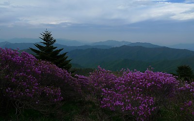 덕유산