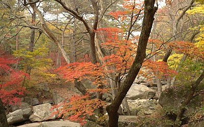 문경세재