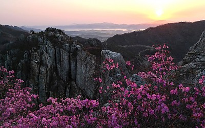 남도의 봄2