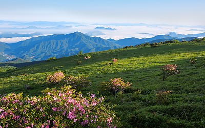소백산 풍경