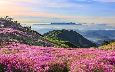 황매산