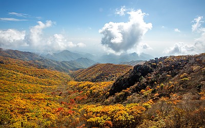 소백산은 단풍으로 말한다