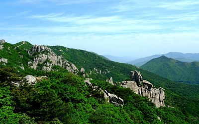 금정산의신록