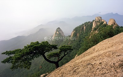 북한산 만경대 뒷쪽 사면에서