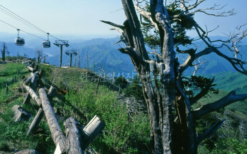 생(生)과 사(死)