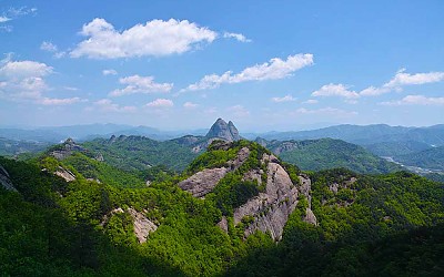 신록