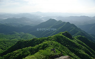 대둔산 신록