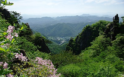대둔산의 봄