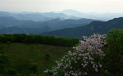 대둔산의 봄