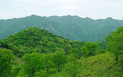 대둔산 신록