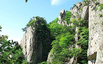 용문골 신록-2