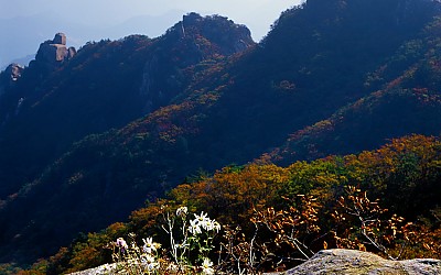 속리산의 가을