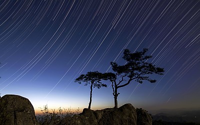 별밤