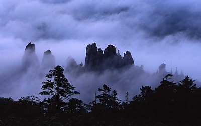 용아의 오후