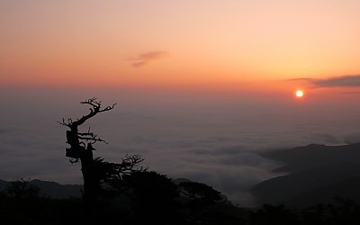 태백산 스케치[4컷](2009/08/02)