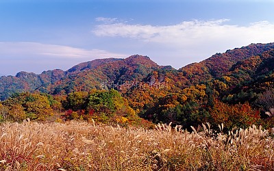 청량산